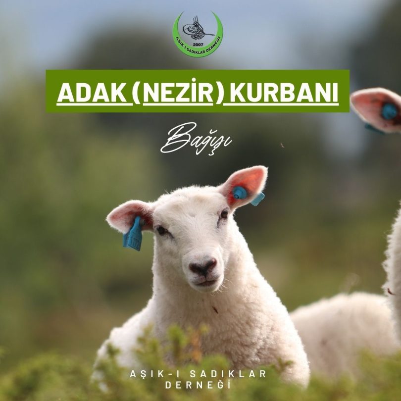 Adak (Nezir) Kurbanı